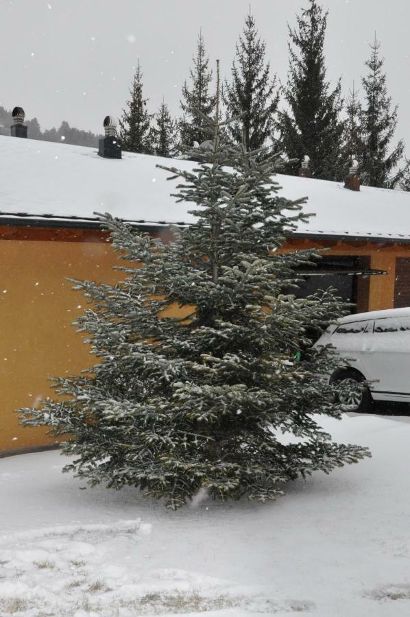 Casa En La Molina Holiday home *